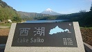 西湖から見た富士山